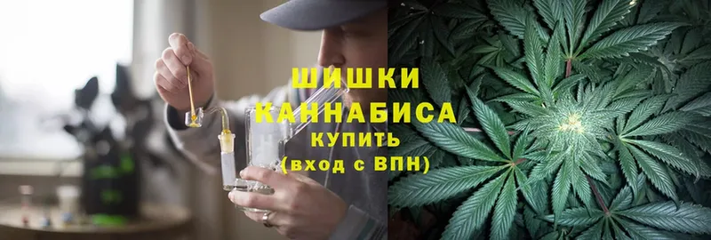 Бошки марихуана White Widow  Богородицк 